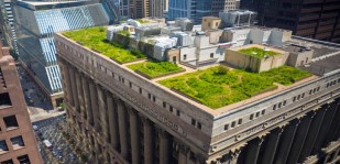 An aerial image of the rooftop garden at Chicago's City Hall
